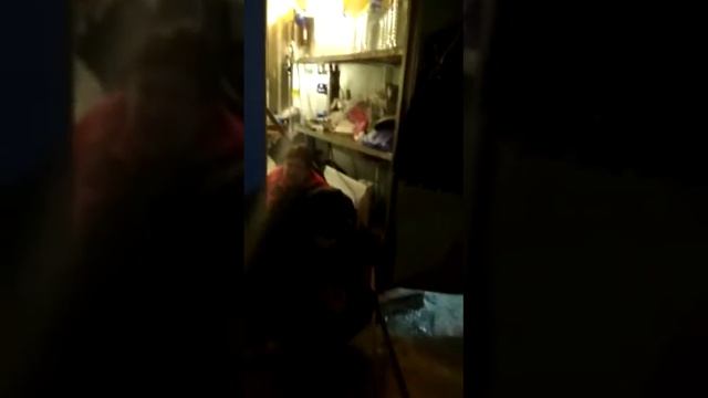 Рождественская торговля водичкой в Томилино смотреть онлайн