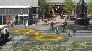 Fountain Square Flower Carpet