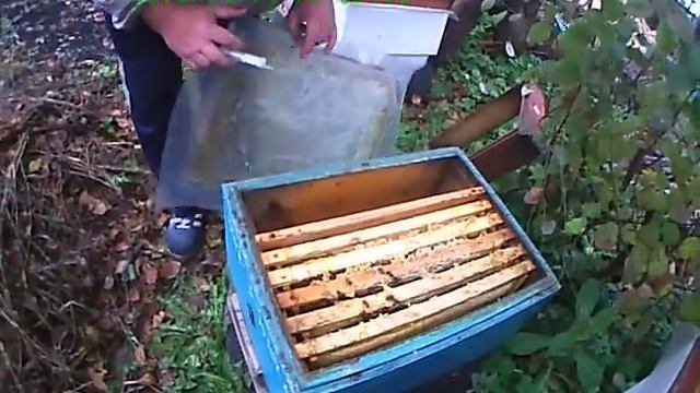 Многокорпусный улей ( обработка отводка) смотреть онлайн