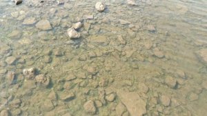 Video.Guru_20220916_223526462.mp4очередной аыход