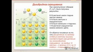 Биология. 9 класс. Дигибридное скрещивание. Людмила Ивановна. Profi-Teacher.ru
