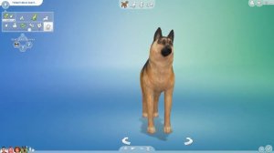 Как играть в Sims 4. Инструкция для новичков