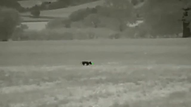 Infiray Rico RL42 смотреть онлайн