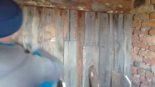 2 недели на Алтае. Купили козу. Делаем курятник козлятник смотреть онлайн