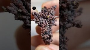 Самородная медь