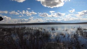 Охота на уток в Якутии. Турпан, природа Якутии, Айхал