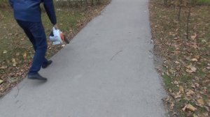 Воздуходувка Stihl BG 50