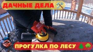 Дачные дела. Прогулка по лесу