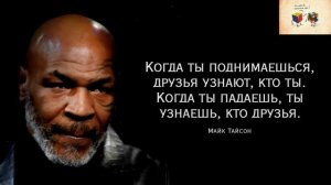 Почему я не Знал Этого Раньше! Лучшие Цитаты Раскрывающие Правду о Жизни от Величайших Умов Земли