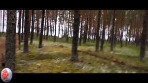 оз СУЙСТАМОНЪЯРВИ КАРЕЛИЯ 2017г