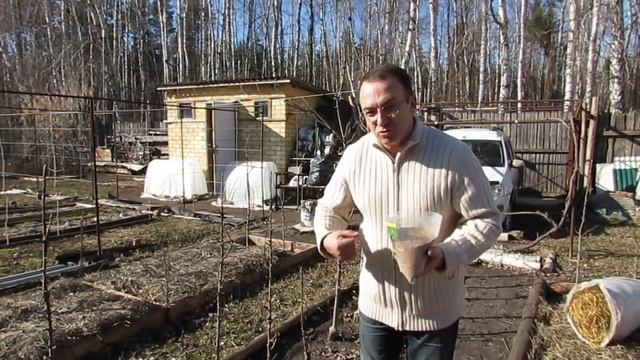 Весна 2014. Посев семян клевера между делянками.