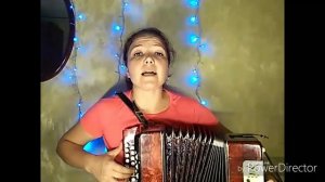 "Ягодка - малинка" ? кавер-версия на гармони (гр. Божья Коровка)