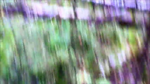 Одиночный Поход! четыре дня в лесу смотреть онлайн