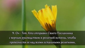 Сура 61 «ас-Сафф». Ряды. Али Калаев