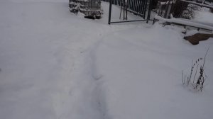 Отопление деревянного дома 23кв.м, тен в алюминиевый радиатор 1,7кВт, хватит ли?