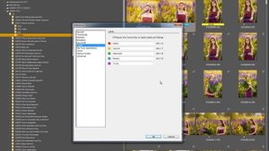 Настройка программы Adobe Bridge