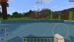 Как найти болото в maincrafte