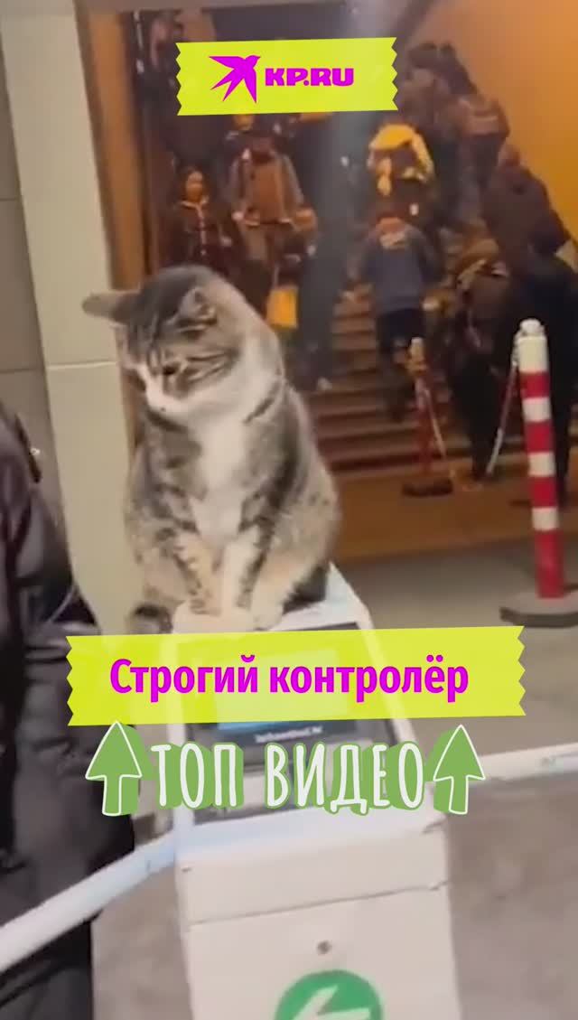 Строгий контролёр