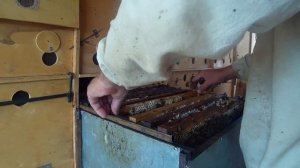 Какая нагрузка на пчеловода в пчелопавильоне.