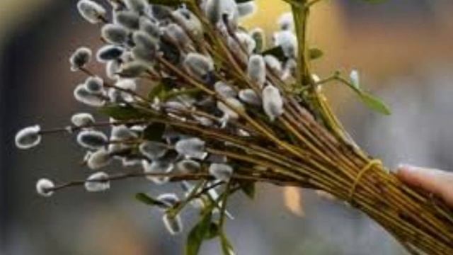 17 апреля Вербное Воскресенье?Поздравление с праздником?Очень красивая песня?Открытка для друзей смотреть онлайн