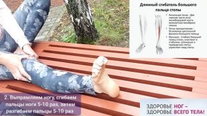 Почему жизнь стоп и голеностопов зависит от точки соединения двух берцовых артерий? Упражнения