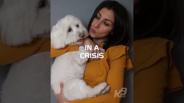 Protecting Dogs from Wildfire Smoke with an Air Filter Mask