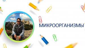 Микроорганизмы