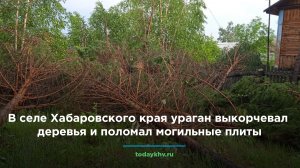 В Хабаровском крае ураган выкорчевал деревья и поломал могильные плиты