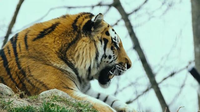 Все ли видят цвет одинаково? смотреть онлайн
