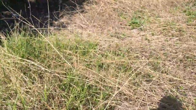 Участок с. Кизиловое смотреть онлайн