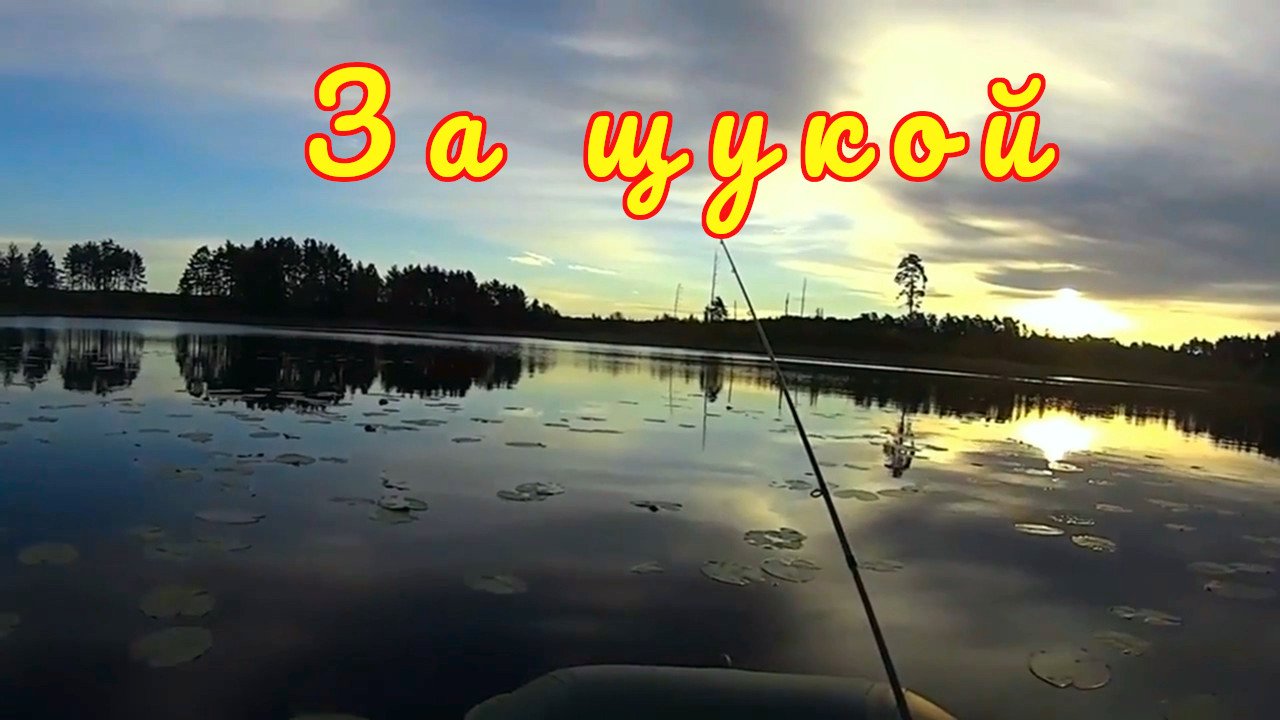 Щука в озере