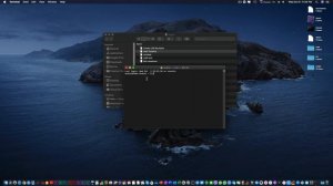 Обновленный Shell  в терминале macOS Catalina 10.15  как включить?