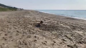 Что-То Пошло Не Так (Выпуск 4)