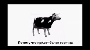 ПОЛЬСКАЯ КАРОВА (ПЕРЕВОД)