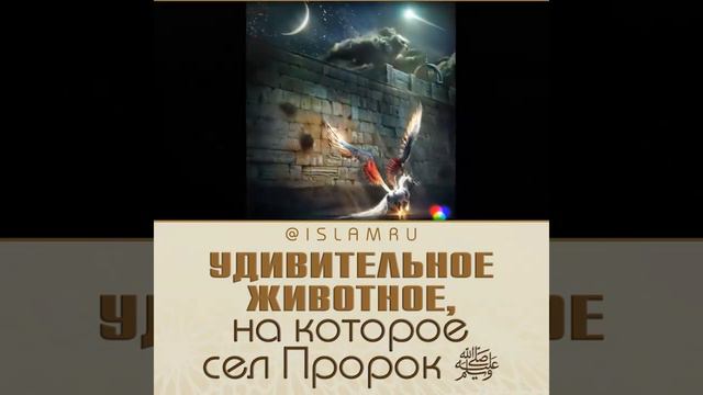 Перед Вознесением Пророк ﷺ перенёсся из Мекки в Иерусалим в мечеть Аль-Акса... смотреть онлайн