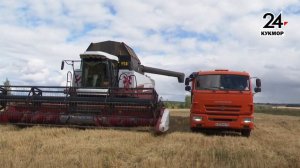 Практика Кукморский аграрный колледж