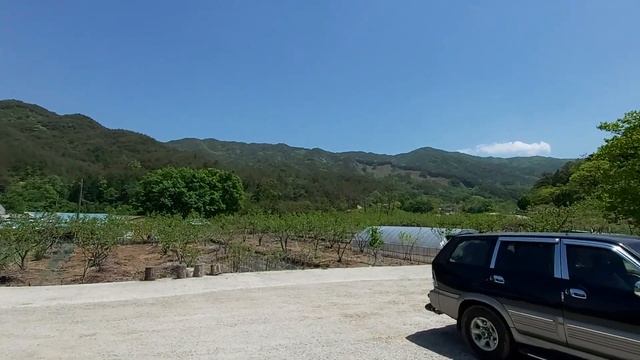 зелёные горы и море, свежий воздух и настроение смотреть онлайн