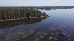 Редкино и окрестности. Пляж в Городне 2.