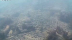 Чёрное море Что под водой. Новороссийск. 06.09.2023