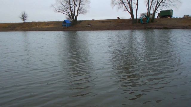 Ловля карпа в декабре смотреть онлайн