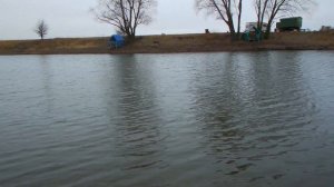 Ловля карпа в декабре