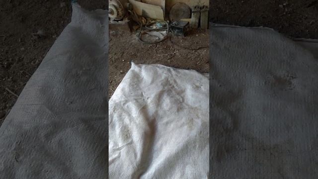 как быстро и легко надолбать мел и ракушку курам смотреть онлайн