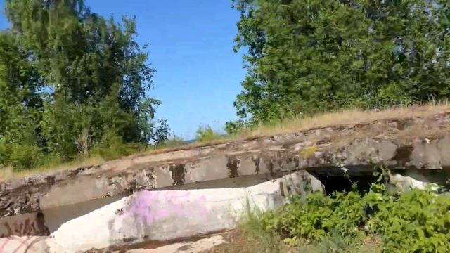 Тропа Южного Берега Финского залива. Велопокатушка 50 км. смотреть онлайн