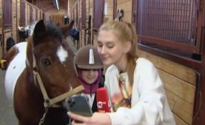 Открытые региональные соревнования по конкуру и выездке «Кубок Федерации конного спорта Югры».