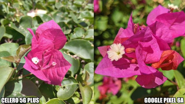 Boost Mobile Celero 5G Plus vs Google Pixel 6a смотреть онлайн