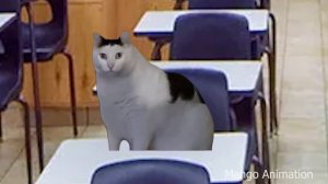 Do you speak English duolingo meme