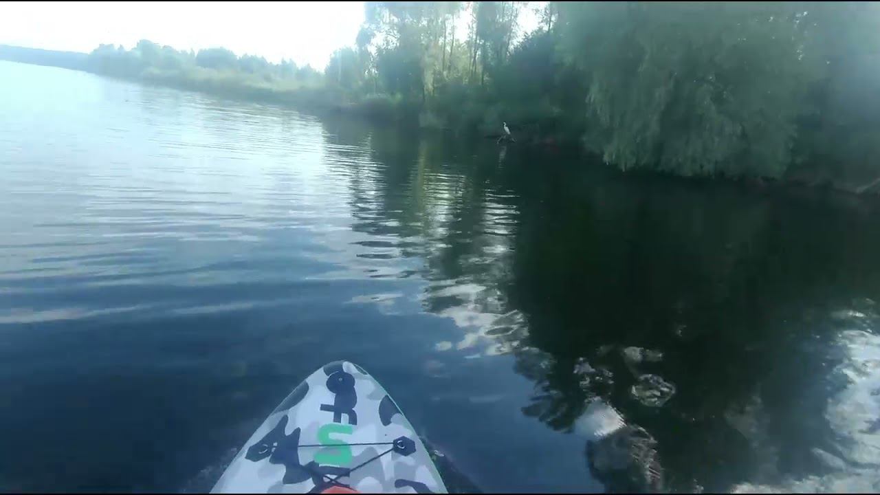 2023 07 30 цапля смотреть онлайн