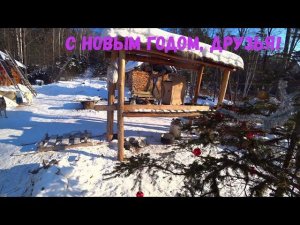 ЗИМОВЬЕ. ОТМЕЧАЕМ ДЕНЬ РОЖДЕНИЯ. 3 часть