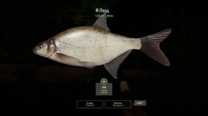 Русская рыбалка 4 | река Вьюнок | Фарм на Леще