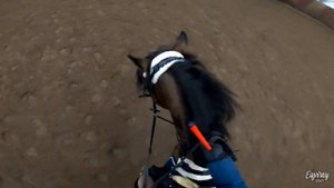 починили кобылу | КОНКУР | GoPro